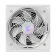 GIGABYTE GP-AE1000PM PG5 - PCIe5.1 Ready - ATX3.1-1000W 80 Plus Platinum Certified - Fully Modular Power Supply