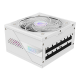 GIGABYTE GP-AE1000PM PG5 - PCIe5.1 Ready - ATX3.1-1000W 80 Plus Platinum Certified - Fully Modular Power Supply