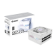 GIGABYTE GP-AE1000PM PG5 - PCIe5.1 Ready - ATX3.1-1000W 80 Plus Platinum Certified - Fully Modular Power Supply
